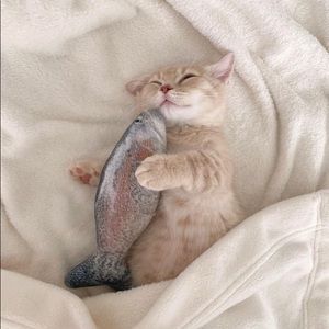 Meet your Posher, Diana